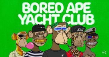 Bored Ape Yacht Club